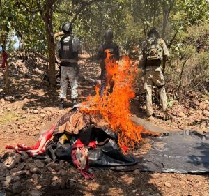 ¡BLINDAN LA YESCA! DESPLIEGAN FUERZAS ARMADAS Y REPORTAN FUERTES ASEGURAMIENTOS EN NAYARIT.